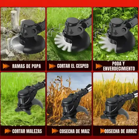 Tondeuse Sans Fil 3 en 1