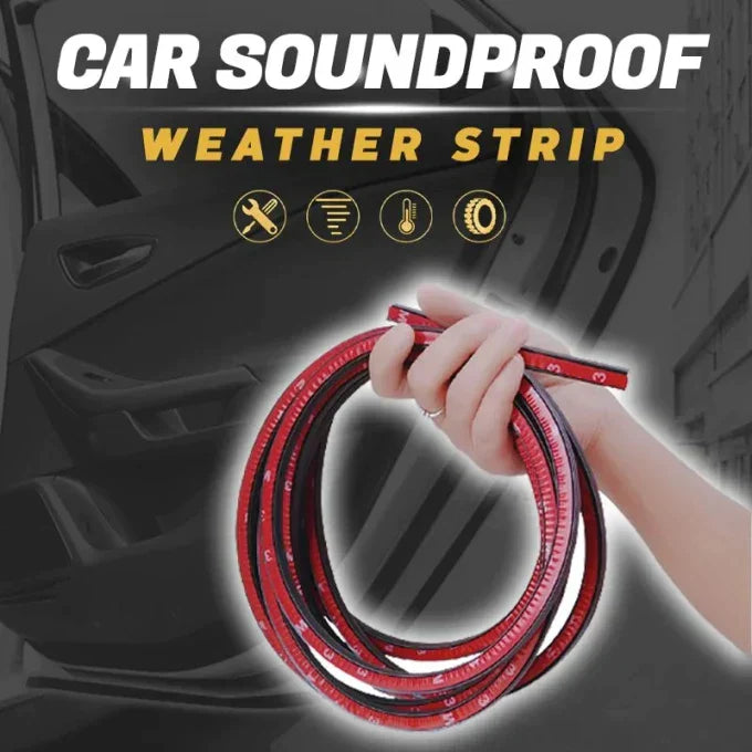 Bande météo insonorisée pour voiture CI