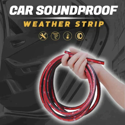 Bande météo insonorisée pour voiture BN