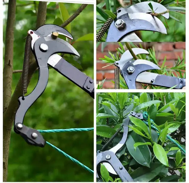 Ciseaux Extensibles pour Branches Hautes