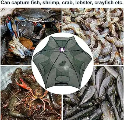 Piège à Filet de Pêche Portable à 6 Trous
