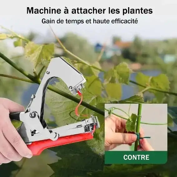 Attacheuse de Plantes Automatique Pro
