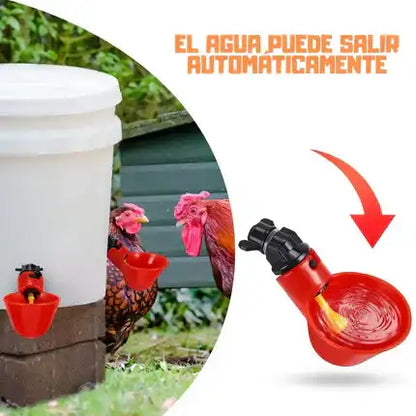 10x Abreuvoirs Automatiques PicoFresco
