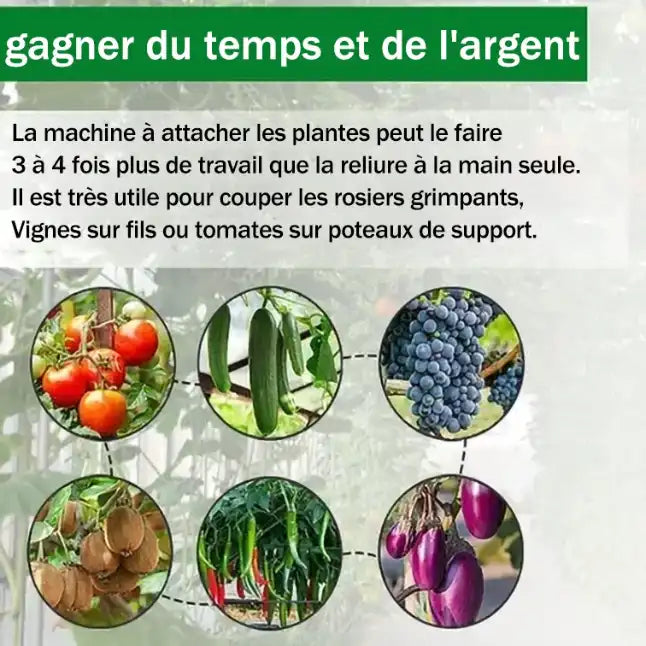 Attacheuse de Plantes Automatique Pro