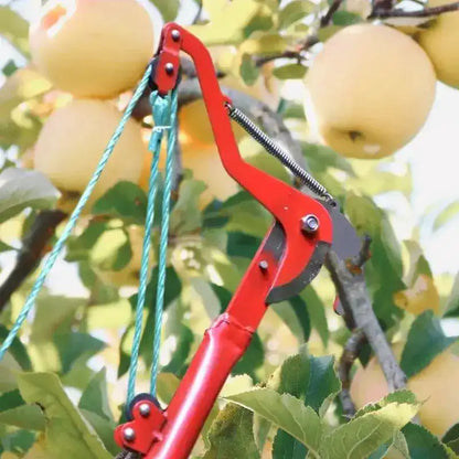 Ciseaux Extensibles pour Branches Hautes