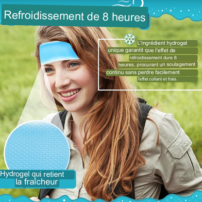 Patch de gel glacé d'été (10pcs/box)